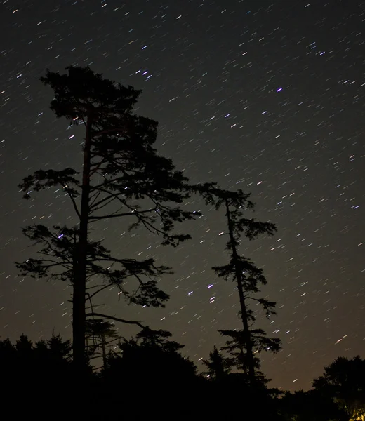 Cielo oscuro con estrellas — Foto de Stock