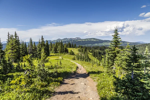 Vista del sendero en las montañas — Foto de Stock