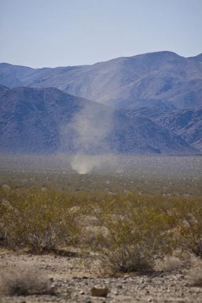 Colorado Desert park — Stock fotografie