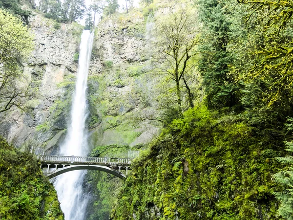 Doğal multnomah falls — Stok fotoğraf