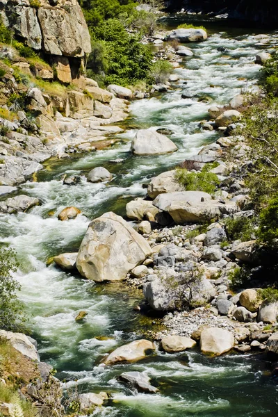 Stream in national park — Stock Photo, Image