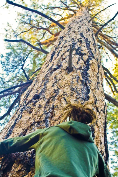 Woman hugging  tree — Stock Photo, Image