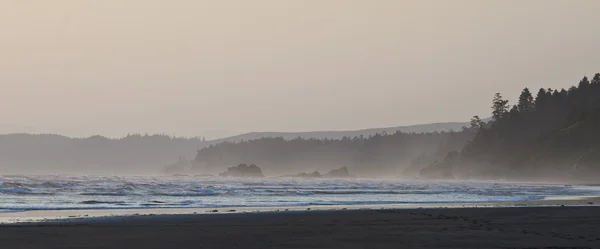 Mar Litoral Crepúsculo Parque Nacional Olímpico — Fotografia de Stock