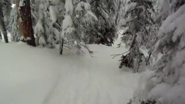 Snowboard'ın Gladed Çalıştır