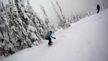 Ormandaki aşağıdaki snowboard düşkünleri
