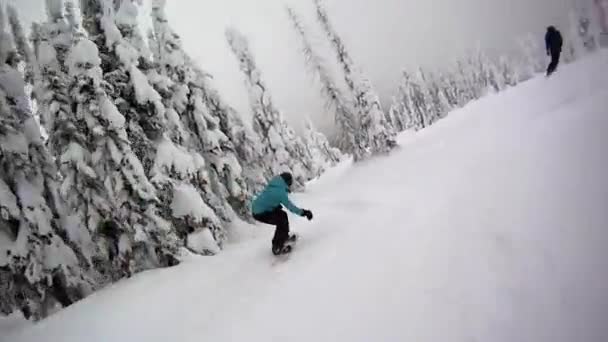 Seguindo snowboarders na floresta — Vídeo de Stock