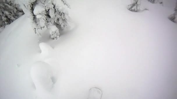 Männer Snowboarden auf Skigebiet — Stockvideo