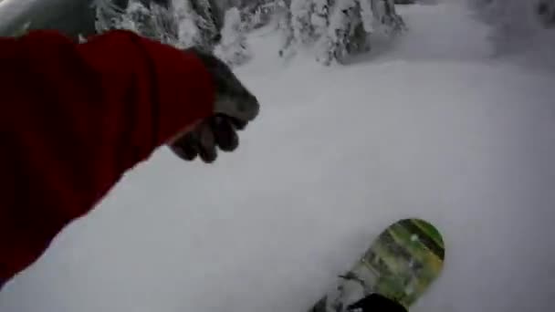 Snowboardåkare genom träden slå hopp — Stockvideo