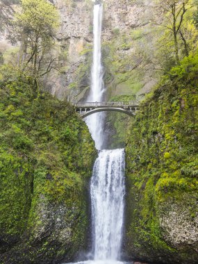 Doğal Multnomah Falls Oregon
