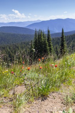 Mesafe dağlarda bakan 