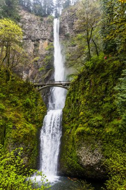 Doğal Multnomah Falls Oregon
