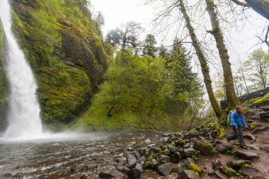 Multnomah Oregon ve Columbia River Gorg güzel şelaleler