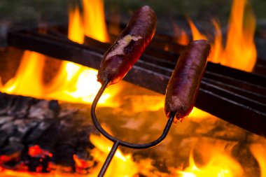 Hot Dog'kamp yangın kavurma