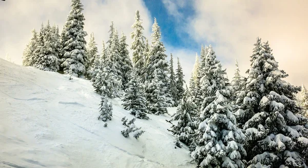 Winter Ski Resort Fjällterräng — Stockfoto