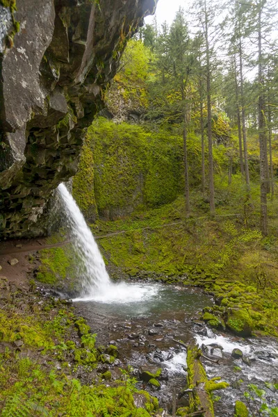 Αλογοουρά Falls Στον Ποταμό Κολούμπια Φαράγγι Όρεγκον — Φωτογραφία Αρχείου