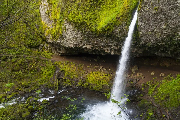 Multnomah Oregon Columbia River Gorg Güzel Şelaleler — Stok fotoğraf