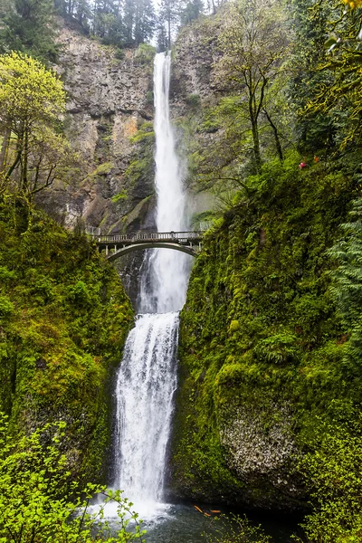 Doğal Multnomah Falls Oregon — Stok fotoğraf