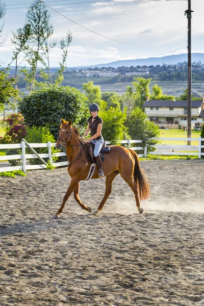 Nainen Ratsastaa Hevosella Aurinkoisessa Ulkorenkaassa kuvapankkikuva