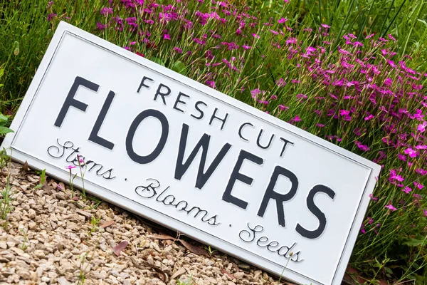 Schöne Sommerblumen Einem Gartenbeet Mit Einem Weißen Schild Auf Dem — Stockfoto