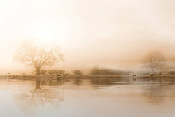 Lugn Lantlig Dimmig Landskap Med Vatten Och Reflektion Dämpad Sepia — Stockfoto