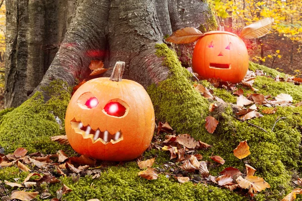 Halloween Kürbisse Mit Ausgeschnittenen Grusel Gesichtern Wald — Stockfoto