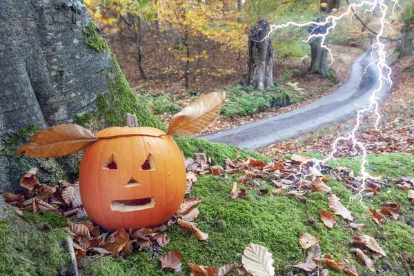 Halloween Dýně Výstřižkem Děsivé Tváře Lese — Stock fotografie