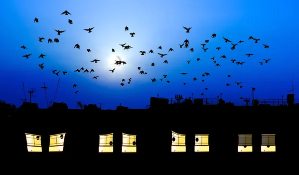Bâtir des fenêtres vivantes et regarder autour de la nuit — Photo