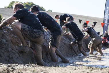 Zor anne 2015 London South