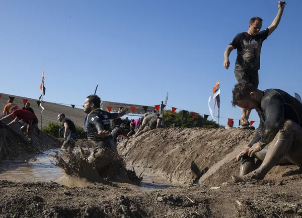 Tough mudder 2015 London South Stockbild