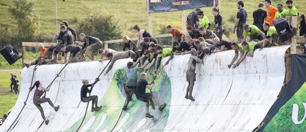 Tough mudder 2015 London South — Stock Photo, Image