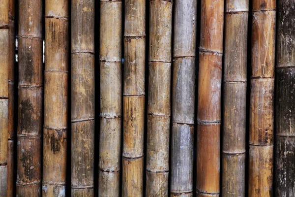 Textura de bambu velha — Fotografia de Stock