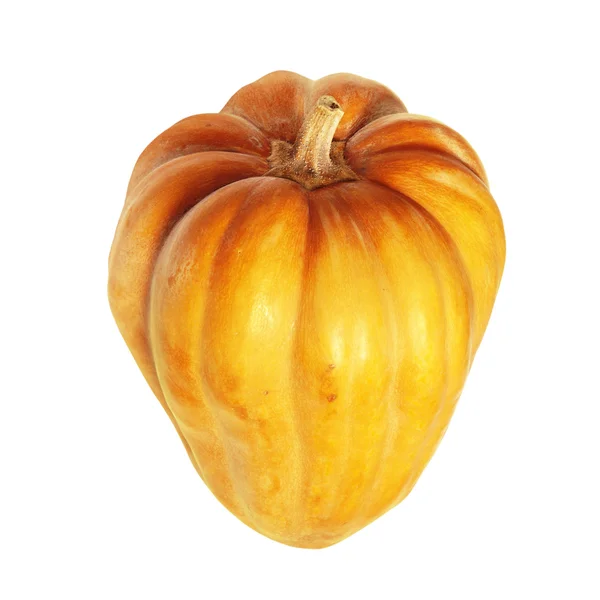 Fresh orange pumpkin — Stock Photo, Image