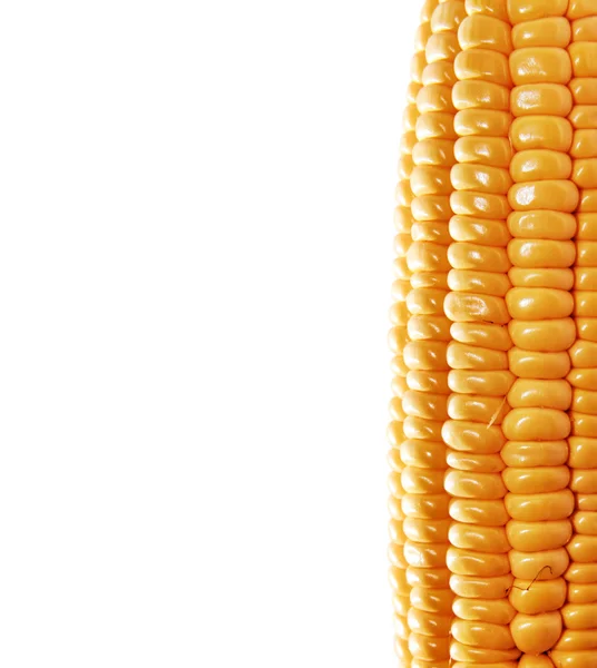 Фон с кукурузным колосом — стоковое фото