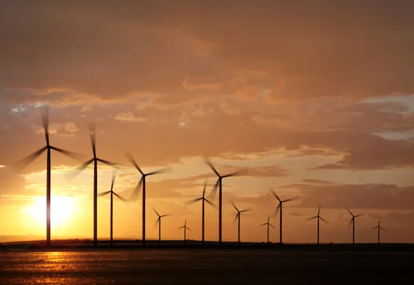 Větrné energie na sunset — Stock fotografie