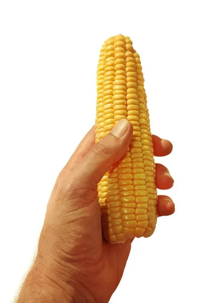 Hand met maïs — Stockfoto