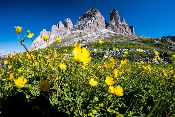 Lato w regionie Dolomity, Włochy — Zdjęcie stockowe