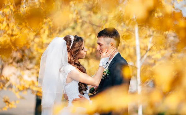 Wedding couple in autumn park — Stock Photo, Image