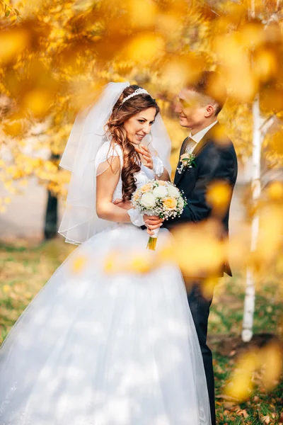 秋の公園で結婚式のカップル — ストック写真