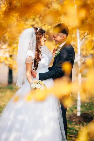 Wedding couple in autumn park — Stock Photo, Image