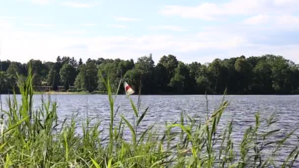 Retro-Windsurfen auf dem Teich oder See. Old shool Sport Aktion. — Stockvideo