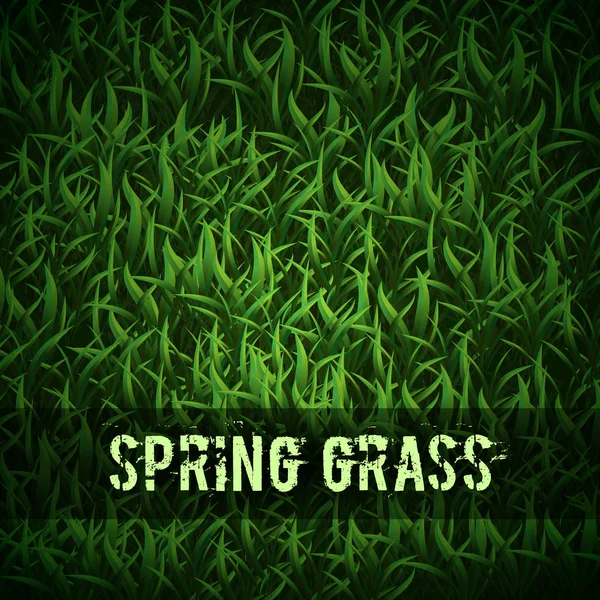 Green Grass — Stock Vector
