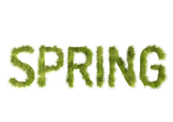 Primavera hierba —  Fotos de Stock