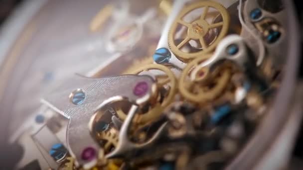 Wristwatch mechanism close up — Stock Video