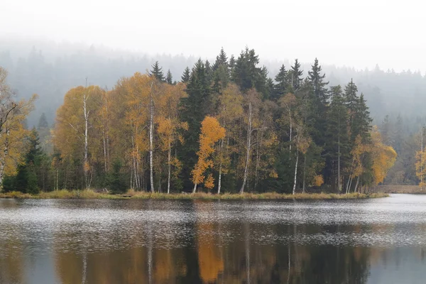Осінній ліс на березі озера — стокове фото