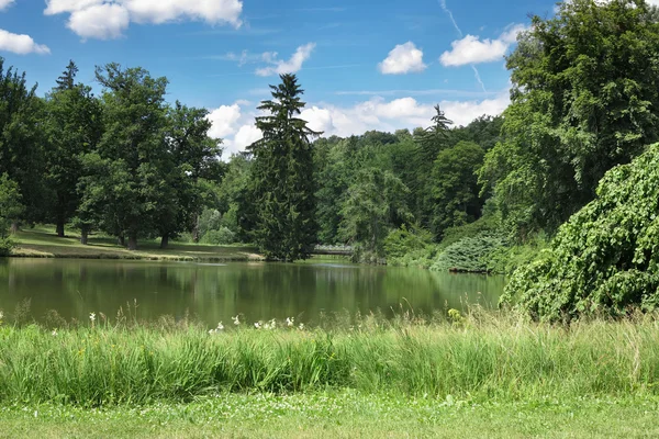 Nel parco. — Foto Stock