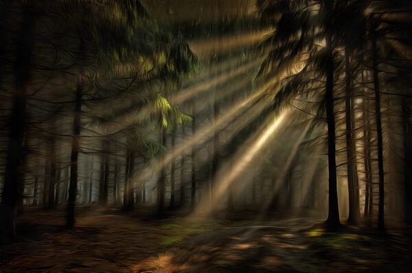 Image of the coniferous forest in the early morning - sun beams in fog haze - digitally altered