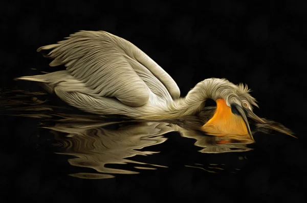 Плавающий далматинский пеликан — стоковое фото