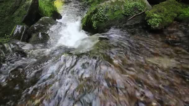 Corriente de agua fluyendo entre piedras — Vídeos de Stock