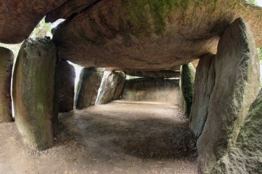 Dolmen La Roche aux Fees ya da Periler Kayası 'nın arka odasındaki mezar Esse' nin Fransız Bölümü Ille-et-Vilaine, Brittany 'de bulunan Neolitik geçiş mezarıdır.