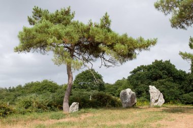 Crucuno Dörtgeni, Menhir Çemberi, Plouharnel, ayrılış Morbihan, Brittany, Fransa